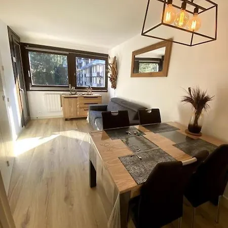 Appartement Appt Cosy Au Centre Chamonix Extérieur photo